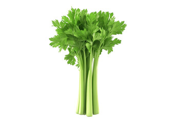Celery .Transparent background .Isolated PNG