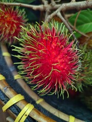 Single fresh rambutan close-up