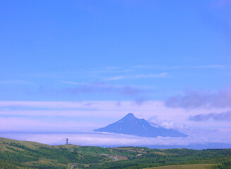 Fototapeta premium 礼文島 礼文森林の丘の風景(利尻島)
