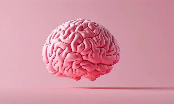 brain organ 3d render pink color background ai generated concept