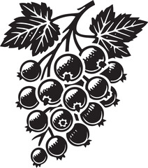 Blackcurrant Silhouette Vector Illustration - Detailed Botanical Design