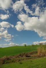 Obraz premium The Molise countryside in spring, the crops and the green of the fields