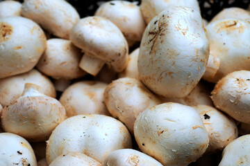 Piękne owoce pieczarki na straganie na  placu targowym © JDziedzic