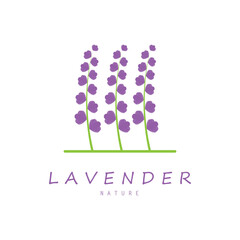 purple lavender flower logo, for flower gardens, parks, business, cosmetics, fashion, vector