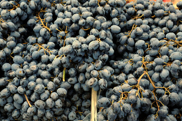 Piękne owoce pieczarki na straganie na  placu targowym © JDziedzic