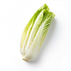 Napa Cabbage, Isolated on white background, flat lay