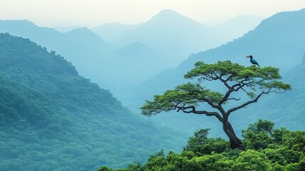 Obraz premium Majestic bird perched atop a serene pine tree amidst misty mountain ranges.