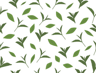 
tea leaves pattern background. green leaves vector pattern background. Green tea leaf seamless pattern. seamless patterns with green leaves of 