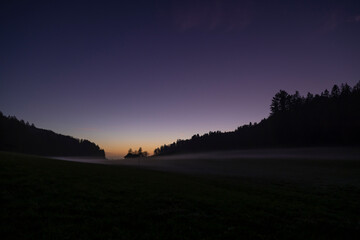 winterlandschaft nacht nebel waldrand
