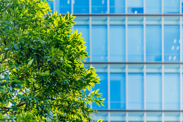 Eco friendly office building. modern city. Green tree in urban, metro green environment in Japan.