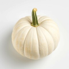 White Computer Mouse, Isolated on white background, flat lay