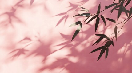 Bamboo branch casting shadow on pink wall.