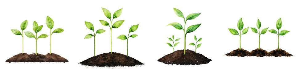 Growing seedlings sprouting in soil, showcasing nature beauty and growth, isolated on transparent background.