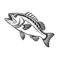 Chilipepper Rockfish Vector Art and Illustration