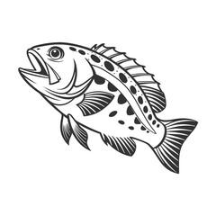 Chilipepper Rockfish Vector Art and Illustration