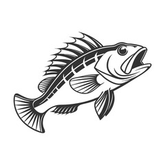 Chilipepper Rockfish Vector Art and Illustration