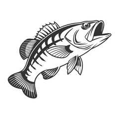 Chilipepper Rockfish Vector Art and Illustration