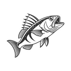 Chilipepper Rockfish Vector Art and Illustration