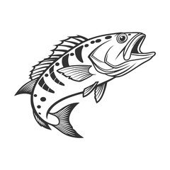 Chilipepper Rockfish Vector Art and Illustration