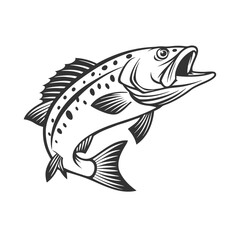 Fototapeta premium Chilipepper Rockfish Vector Art and Illustration
