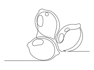 Continuous one line several lemons isolated on white background. Simple silhouette of citrus fruits. Hand drawn outline of lemons. Vector illustration