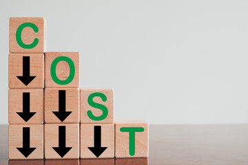 Cost Reduction,Budget Planning,LEAN Management,Cost Efficiency concept.,COST reduce and arrow down...