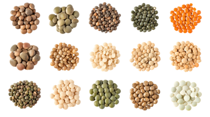 Lentils Variety Brown, Green, Red, Yellow, and White Lentils