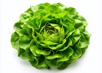 Obraz premium Fresh Green Lettuce Top View, Isolated White Background, Crisp Salad Vegetable