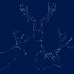 Set deer head outline. Vector illustration. Side, front, isometric view