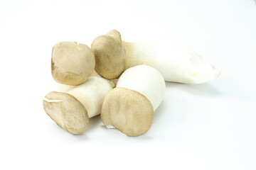 Group of fresh king trumpet mushroom, French horn mushroom, eryngi, king oyster mushroom, king brown mushroom (Pleurotus eryngii) isolated on white background stacking