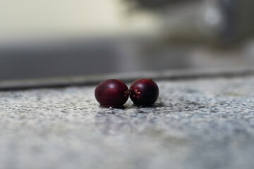 Fresh and ripe Bengal-currants (Carandas-plum, Karanda) fruits on wet table close up selective focus blur background