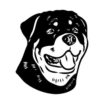 recommend clip art: Doodle One Line Drawn Rottweiler . Black Curve Rottweiler dog, vector sketch