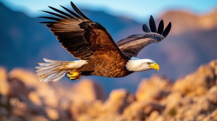 Obraz premium The majestic eagle soared gracefully through the rugged mountain peaks, its sharp eyes scanning the terrain below for any sign of prey