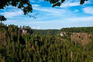 Impressionen aus dem Elbsandsteingebirge