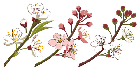 Fototapeta premium flowers, leaves, on the corner, vector