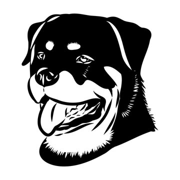 recommend clip art: Doodle One Line Drawn Rottweiler . Black Curve Rottweiler dog, vector sketch