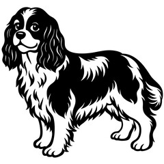 cavalier king charles spaniel dog black silhouette vector with white background