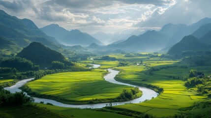 Meandering river winding through lush green rice paddies in vietnam
