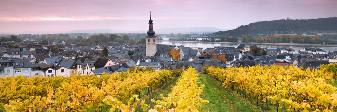 Church and vineyards of Rudesheim, Rhine valley, Hesse, Germany