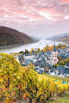 Sunrise over vineyards and river Rhine, Bacharach, Germany