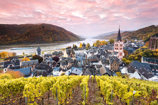 Sunrise over vineyards and river Rhine, Bacharach, Germany