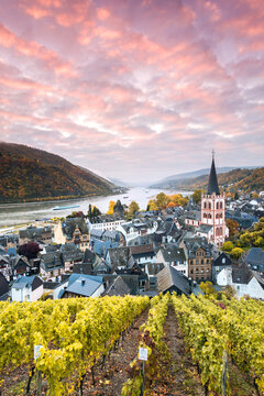 Sunrise over vineyards and river Rhine, Bacharach, Germany