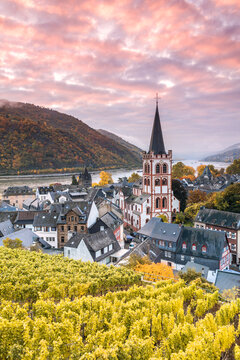 Sunrise over vineyard and river Rhine, Bacharach, Germany