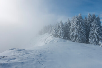 Sur les crêtes de Bidour - Hautes Pyrénées 