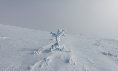 Mon bonhomme de neige