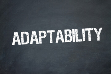 Adaptability	
