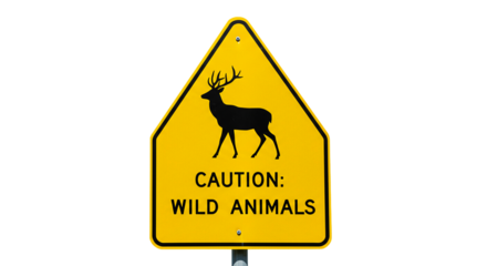 Traffic sign caution wild life, a sign with deer