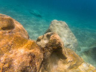 Rocky bottom of the French Riviera: an underwater view of the coastline.