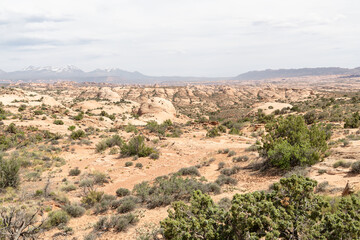 The desert terrain of Arches National Park, Utah, USA