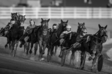 Equestrian sport. Harness racing. The concept of sports competition, passion of people and horses. Defocus, soft focus.